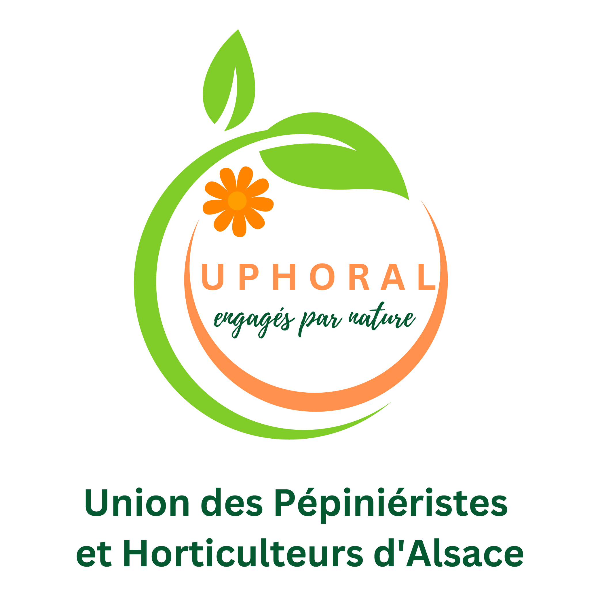 Logo UPHORAL